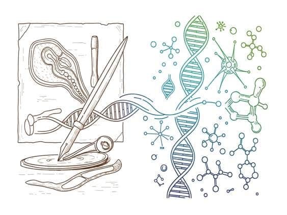 Historical and Future Perspectives on Weight Loss