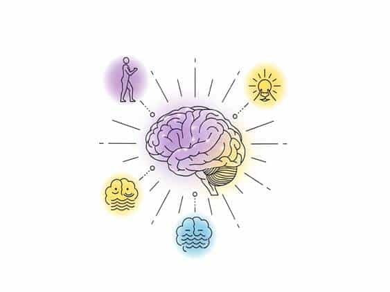 Weight Loss Benefits