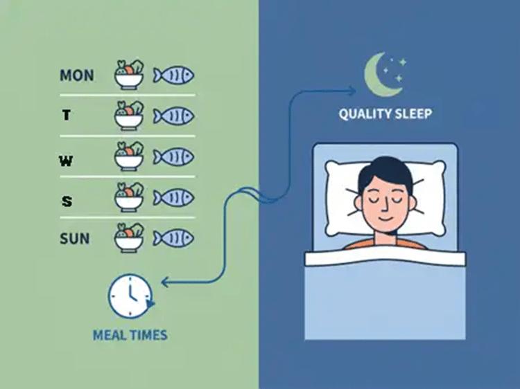 An illustration of meal timing and sleep for optimal muscle recovery.