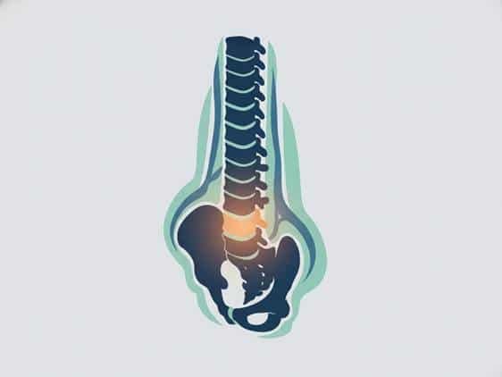 A professional vector illustration of a human spine highlighting the lumbar region for back pain relief education.